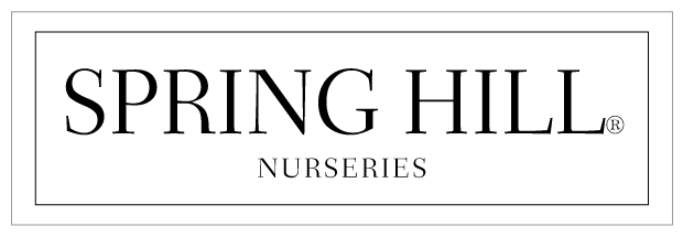Spring Hill Nurseries